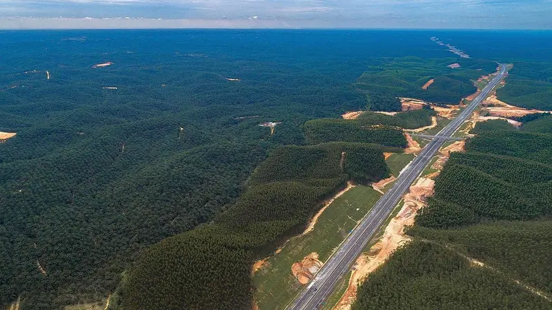 Tol Pekanbaru-Dumai sepanjang 131 km. (Dok Hutama Karya)