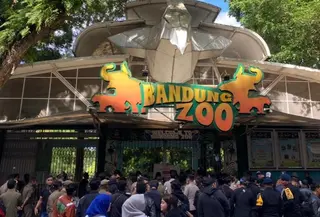 Kementerian Kehutanan (Kemenhut) resmi mencabut izin Yayasan Margasatwa Tamansari (YMT), pihak yang mengelola Kebun Binatang Bandung (Bandung Zoo). (Foto: laman Pemkot Bandung).