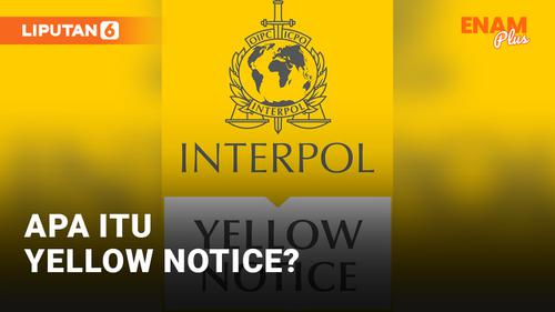 VIDEO: Apa itu Yellow Notice Terkait Hilangnya Anak Ridwan Kamil?