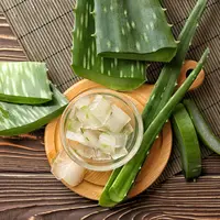 Credit: Shutterstock.com