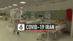 covid iran