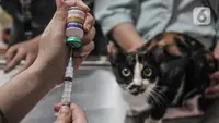 Vaksinasi hingga Sterilisasi, Ini Layanan Mobil Klinik Hewan Keliling Jakarta