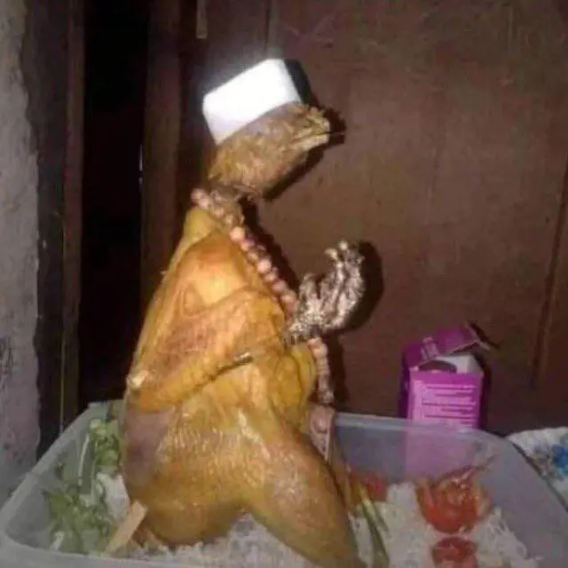 7 Potret Nyeleneh Penyajian Ayam Goreng Ini Bentuknya Kocak