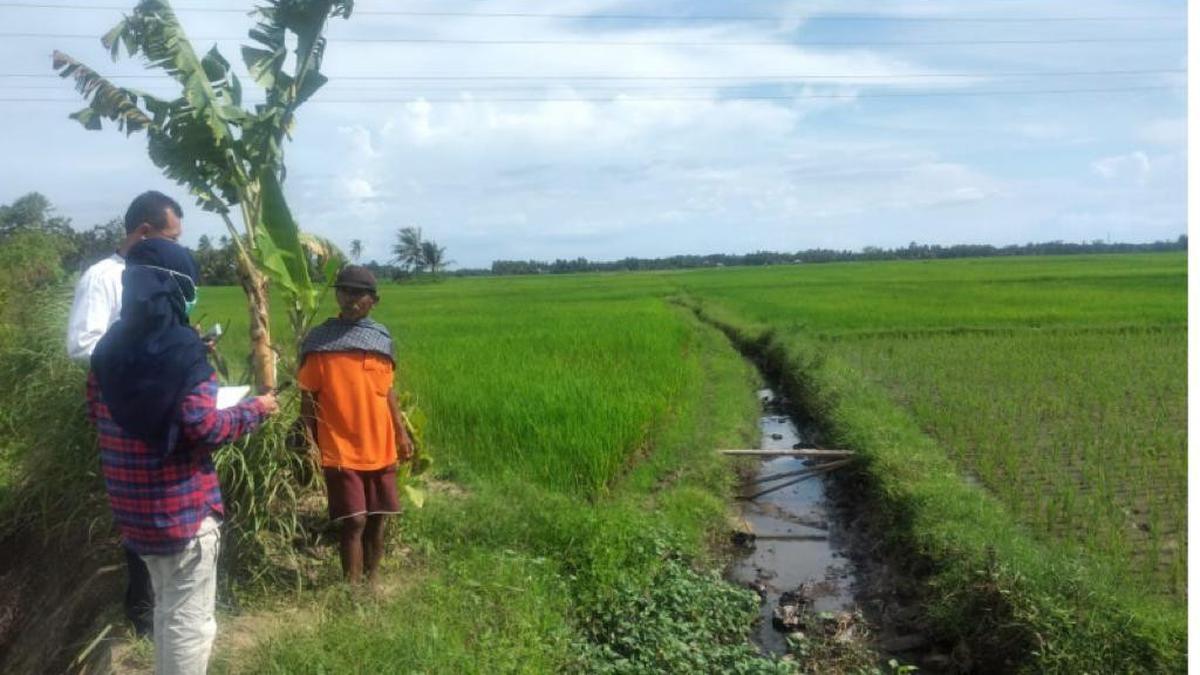 Banyak Manfaat RJIT yang Dirasakan Para Petani di Kurai Taji Timur ...