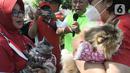 Warga membawa kucing peliharaannya pada acara fashion  show kucing rumahan di Lapangan Kolaborasi Komplek Ikip, Duren Sawit, Jakarta, Minggu (14/8/2022). Acara fashion show yang merupakan rangkaian dari kegiatan HUT Kemerdekaan Republik Indonesia ke 77 dan sebagai wadah berkumpulnya komunitas pecinta kucing di Jakarta Timur. (Liputan6.com/Herman Zakharia)