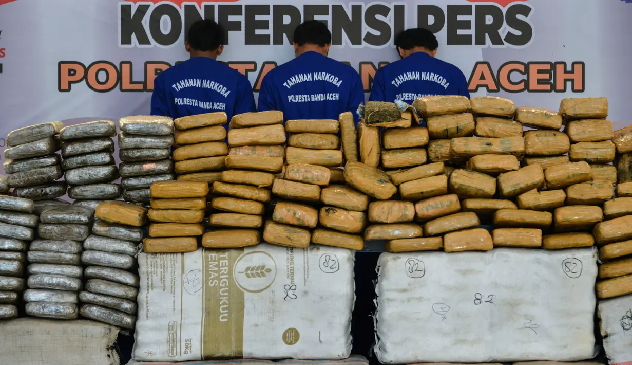 Paket ganja kering dan tiga tersangka diperlihatkan saat rilis kasus di Banda Aceh, Aceh, Kamis (23/5/2019). Satresnarkoba Polresta Banda Aceh mengamankan satu ton paket ganja, tiga tersangka dan satu unit truk tronton saat akan membawa narkotika ke Jakarta. (CHAIDEER MAHYUDDIN/AFP)