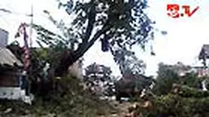 liputan6