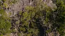 <p>Pemandangan udara areal Piramida La Danta di situs arkeologi El Mirador, San Adres, Guatemala, 17 Januari 2023. Salah satu piramida terbesar di dunia tersebut ditemukan di antara hutan yang luas Guatemala berkat bantuan teknologi. (Carlos ALONZO/AFP)</p>