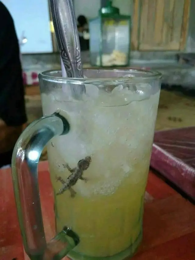 6 Momen Apes Cicak Masuk Gelas Isi Minuman Ini Bikin Geli