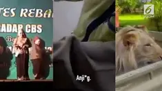 Video Hit hari ini datang dari rekaman polisi yang berkata kasar kepada seorang pengendara, petani yang memelihara singa di rumahnya, dan emak-emak yang terjatuh dari atas panggung.