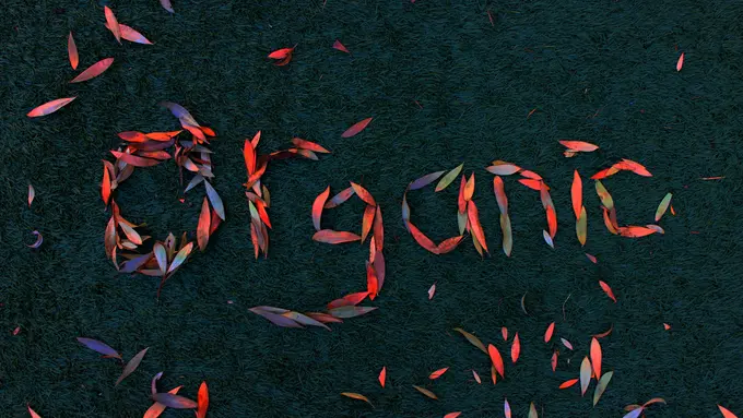 Pentingnya Beralih ke Produk Organik untuk  Bumi dan Tubuh yang Lebih Sehat