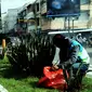 Seorang petugas saat pagi hari merawat tanaman lidah mertua di salah satu perempatan jalan Kota Makassar, Sulsel. (Liputan6.com/Ahmad Yusran)