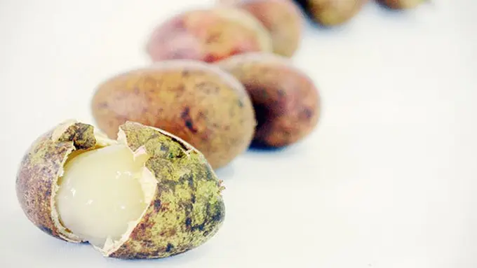 Gambar: multimedia.efahmi.info