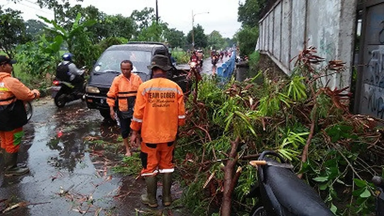 Sebuah pohon tumbang karena angin kencang di Jalan Sekejati, Kelurahan Sukapura, Kecamatan Kiaracondong, Kota Bandung, pada Kamis (7/2/2019) sore. Tidak ada korban yang dilaporkan dalam peristiwa ini.
