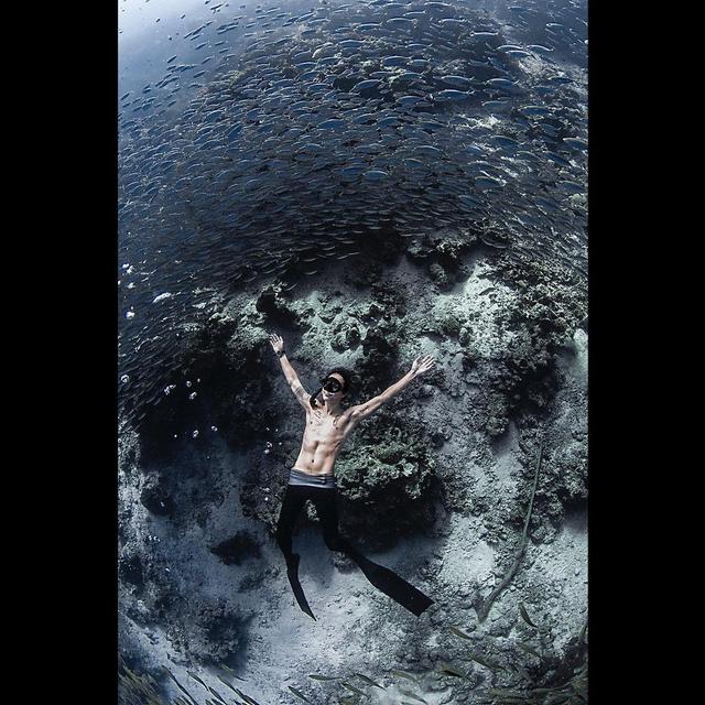 Potret Dikta Freediving di Pulau Menjangan, Menikmati Pemandangan di Bawah Laut. (Sumber: Instagram/dikta)