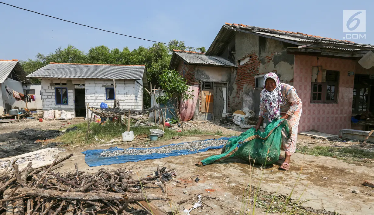 Warga yang memilih bertahan akibat abrasi menjemur ikan di Desa Pantai Mekar, Kecamatan Muara Gembong, Bekasi, Kamis (20/6/2019). Puluhan rumah warga di Kampung Muarajaya RT01/RW01 Desa Pantai Mekar hilang tersapu air saat terjadi abrasi selama 10 tahun. (Liputan6.com/Fery Pradolo)