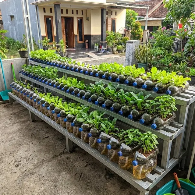Model Kebun Mini di Teras Cor Tanpa Tanah