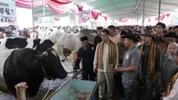 Mentan Amran Bereskan 5 Keluhan Petani-Peternak Saat Kunker ke Lampung