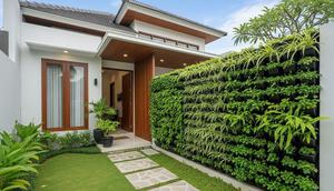 Desain Rumah Kecil dengan Tanaman Hias di Dinding. Foto: Gemini