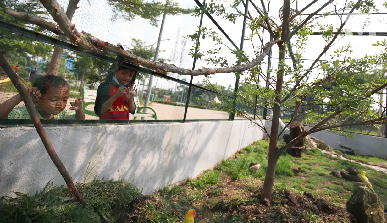 Anak-anak melihat satwa di dalam kawasan Taman Jalur Hijau Kosambi, Jakarta Barat, Sabtu (8/1/2022). Di taman ini bukan hanya ruang terbuka hijau yang sangat bagus untuk berswafoto tetapi juga terdapat berbagai macam hewan untuk mengedukasi anak-anak yang datang. (Liputan6.com/Angga Yuniar)