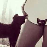 Benda yang dianggap memiliki bentuk unik mirip fagina