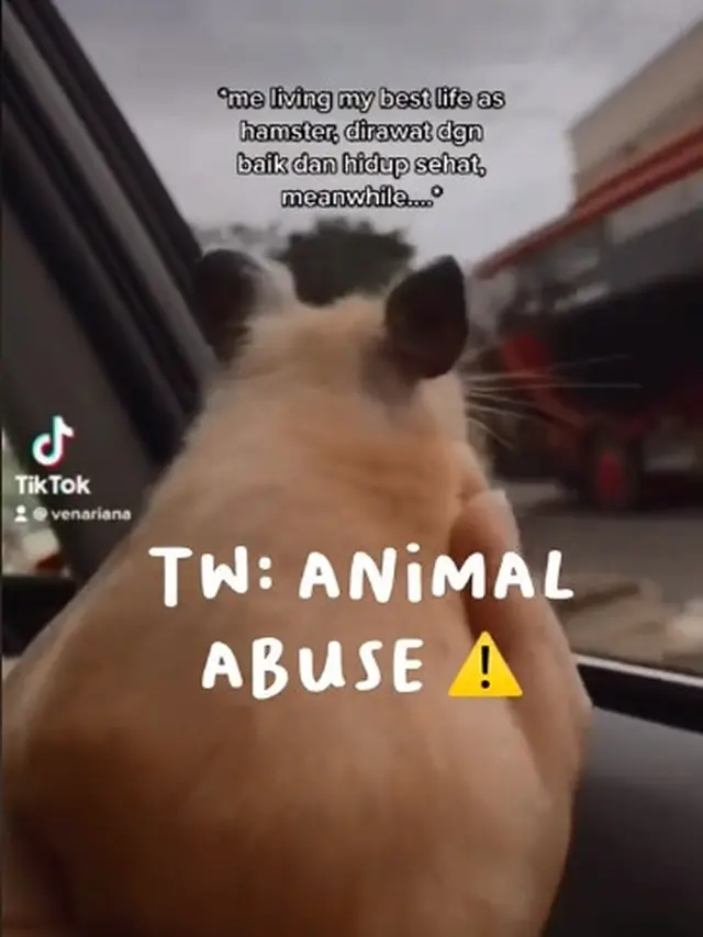Cerita Unggahan Hamster Dijual Online Berujung Mati karena Dikirim Melalui Ekspedisi