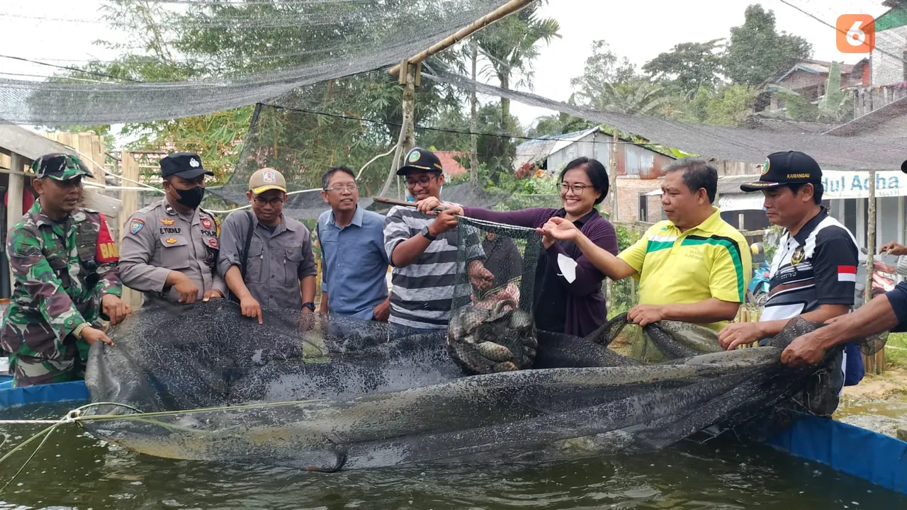 Panen Perdana Pokdakan Ikhlas Mandiri Kariangau