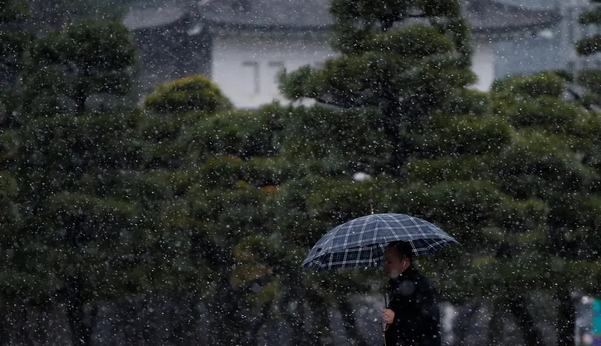 Seorang pria melintas di dekat Istana Kekaisaran saat salju turun, Jepang, Kamis (24/11). Meskipun Jepang merupakan negara empat musim, ibu kota Tokyo lebih sering menghadapi gempa daripada salju. (REUTERS / Toru Hanai)