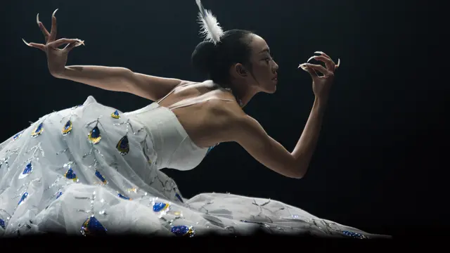 Yang Liping