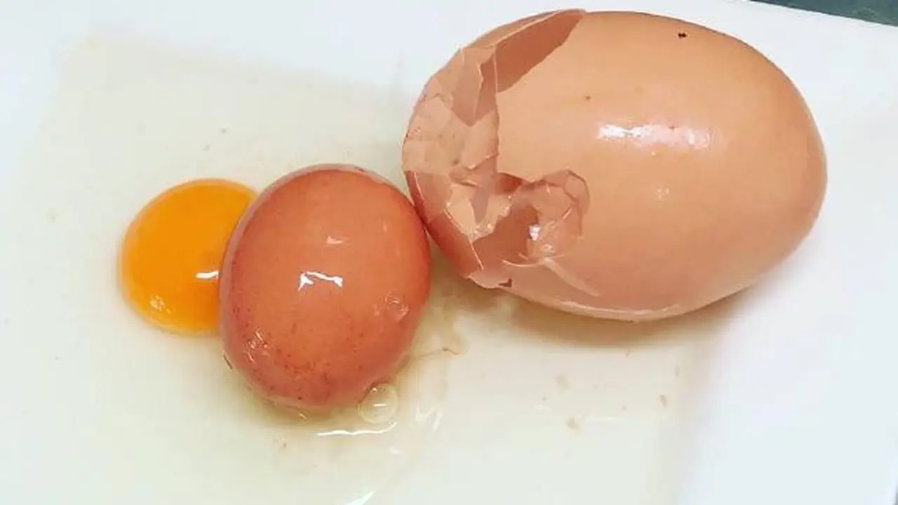 Telur dalam telur di Queensland, Australia. (Facebook/Stockman's Eggs)