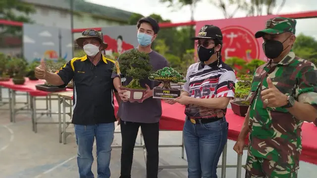 kontes bonsai yang diikuti oleh Jusin Clasic (ist)