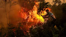 Sebaran Karhutla Hari Ini, Kalteng Catat 8.608 Titik Panas
