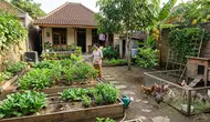 7 Kesalahan Menyiram Kebun Sayur yang Sering Dilakukan, Wajib Dihindari agar Panen Maksimal