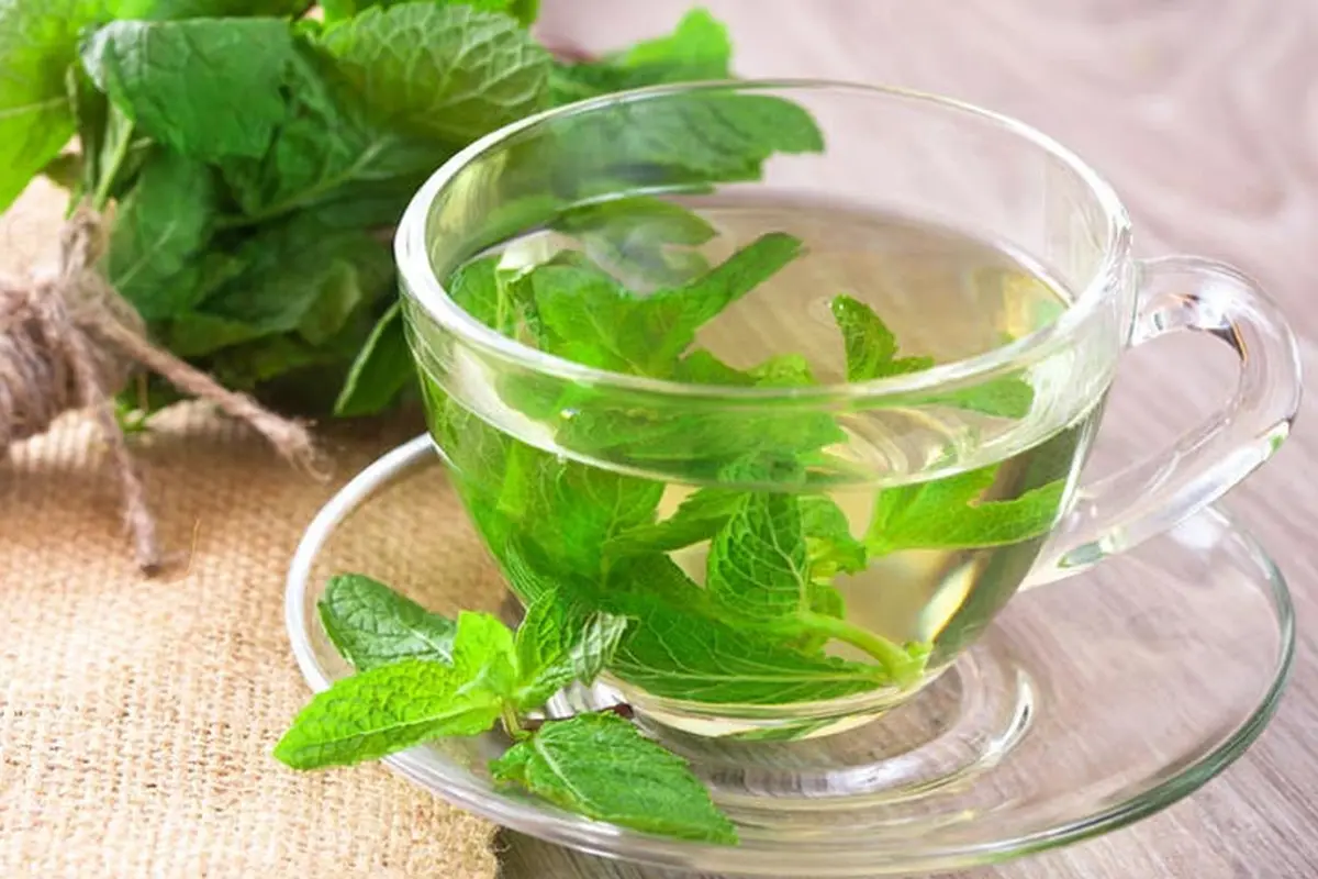 5 Manfaat Teh Daun Mint
