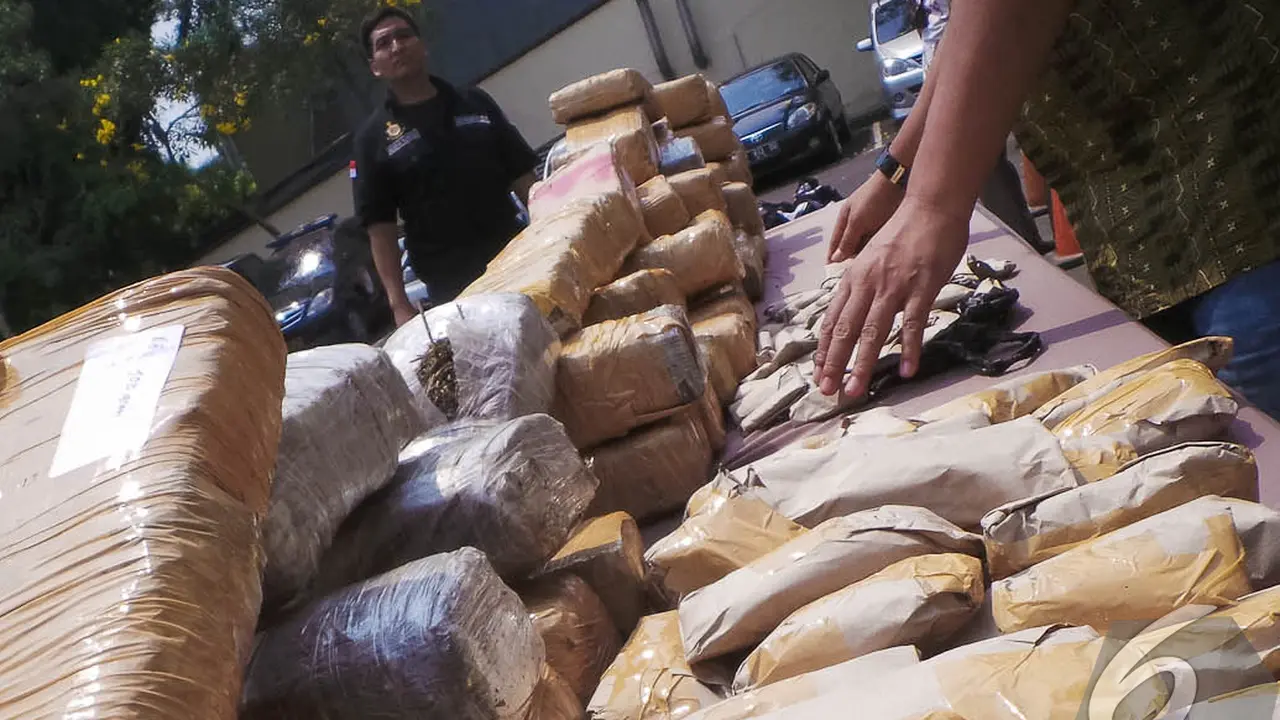 Ganja Aceh Senilai Rp 500 Juta Diamankan Polisi