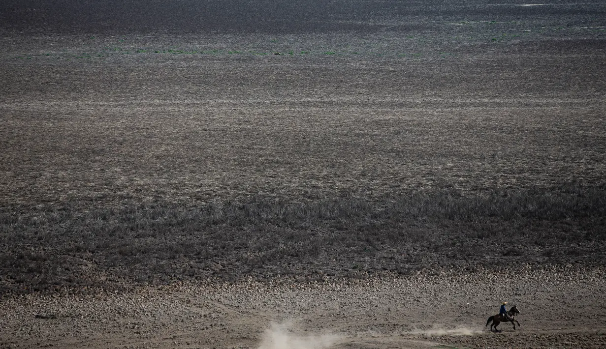 Seorang warga mengendarai kudanya di Danau Acuelo Lagoon yang mengering, Paine, Chile, Jumat (23/8/2019). Pemerintah Chile telah mengumumkan keadaan darurat pertanian di banyak daerah. (AP Photo/Esteban Felix)
