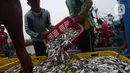 Nelayan tradisional menurunkan hasil tangkapan ikan di Pelabuhan Muara Angke, Jakarta, Sabtu (19/2/2022). Nelayan mengatakan hasil tangkapan ikan mulai membaik seiring pergantian musim dan angin barat. (merdeka.com/Imam Buhori)