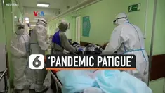 pendemic patigue