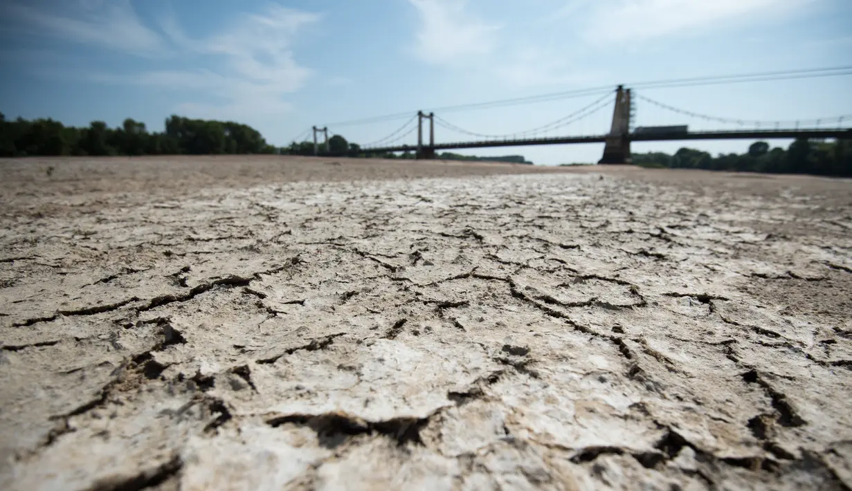 Suasana Sungai Loire di Montjean-sur-Loire yang kekeringan di Prancis barat (24/7/2019). Gelombang panas tengah melanda sebagian besar Eropa termasuk Prancis yang akan mencetak rekor suhu terbaru di beberapa negara. (AFP Photo/Loic Venance)