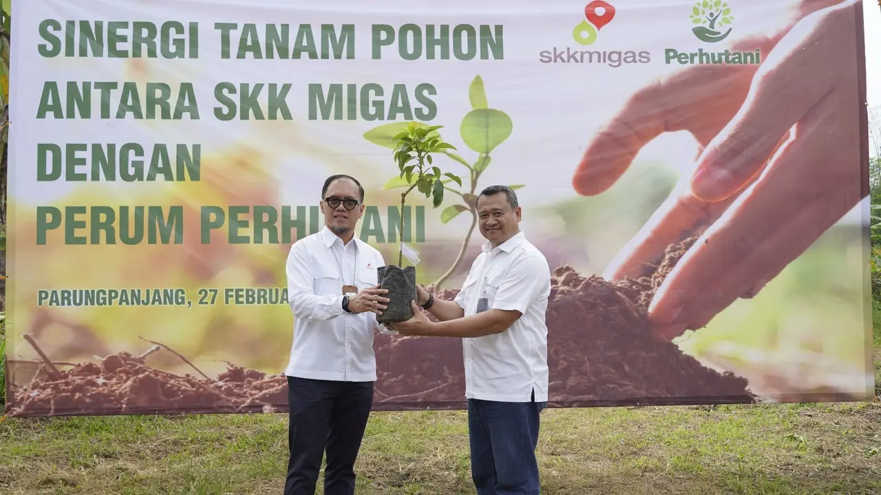 Perum Perhutani bersamaSKK Migas memperluas lahan penyerapan karbon dengan penanaman pohon di sejumlah titik.