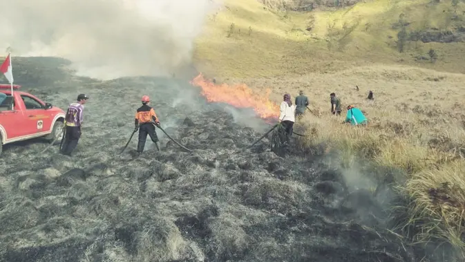 Petugas dan relawan berupaya memadamkan kebakaran di kawasan Gunung Bromo (BB TNBTS)