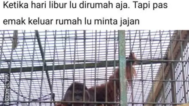 Pas Banget, 6 Meme Kocak Libur Sekolah Ini Bikin Senyum