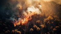 Ilustrasi kebakaran hutan. (Image by vecstock on Freepik)