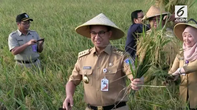 VIDEO: Kata Anies, Lahan Pertanian di Jakarta Masih Ada