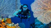 Apa Kabar Wisata Selam Selama Pandemi COVID-19?
