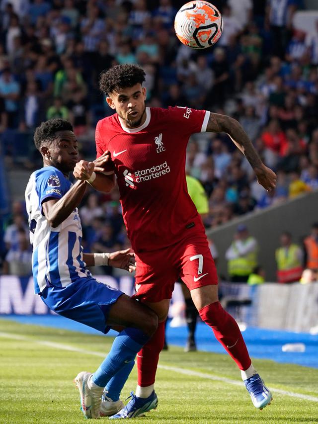 Brighton and Hove Albion Vs Liverpool