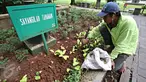 Pekerja Harian Lepas (PHL) kebersihan merawat lingkungan Taman Suropati, Jakarta, Senin (18/1/2016). Pemprov DKI Jakarta akan mengaudit Dinas Kebersihan terkait kejanggalan antara jumlah PHL dengan penganggaran. (Liputan6.com/Immanuel Antonius)
