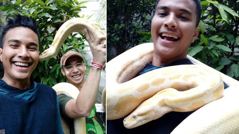 Menegangkan, Selfie dengan Ular Piton Albino di Selfie Yuk