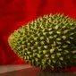 Ilustrasi durian. (Sumber foto: Pexels.com)