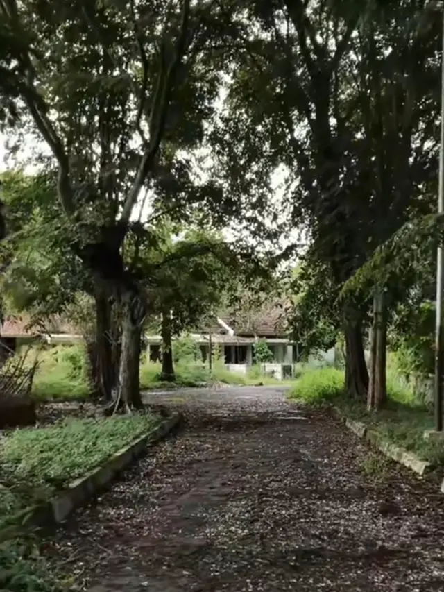 Perumahan Dinas Krakatau Steel Terbengkalai